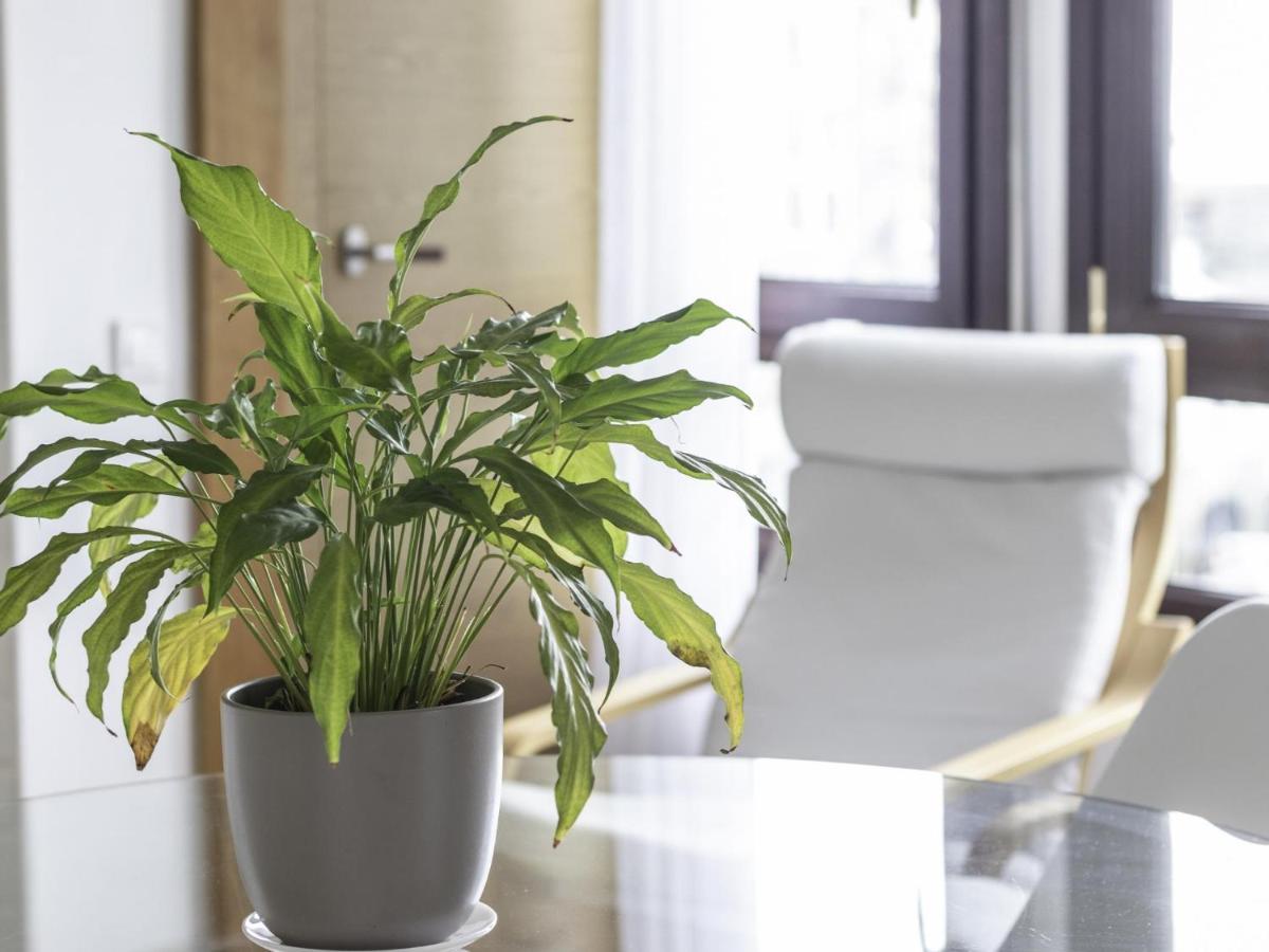 Apartament Politxe By Kabia Gestion Bermeo Zewnętrze zdjęcie